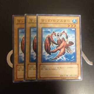 マッド・ロブスター　wstorm