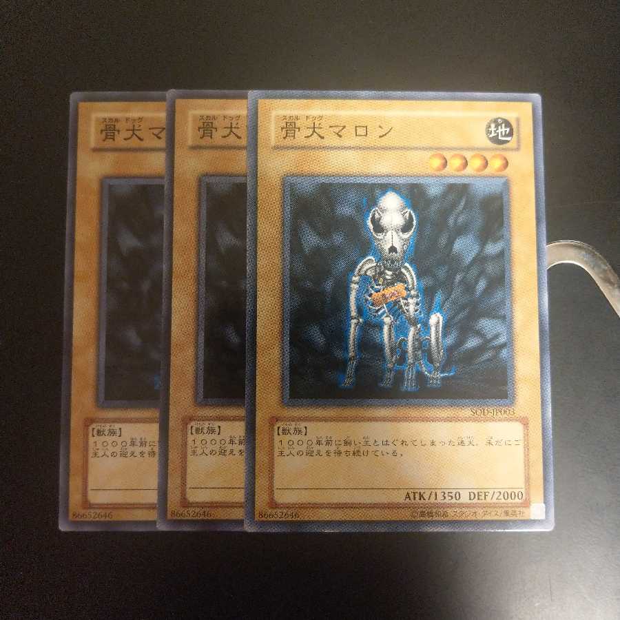 骨犬マロン wstorm