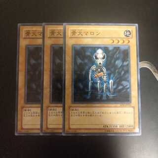 骨犬マロン　wstorm