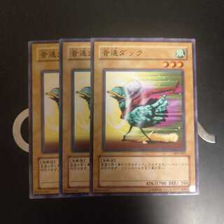 音速ダック　wstorm