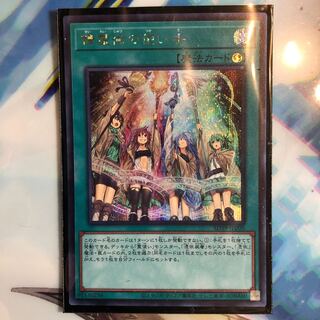 遊戯王　精霊術の使い手　シークレット　シク　1枚　霊使い