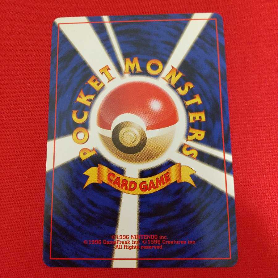 クルミ 2枚セット