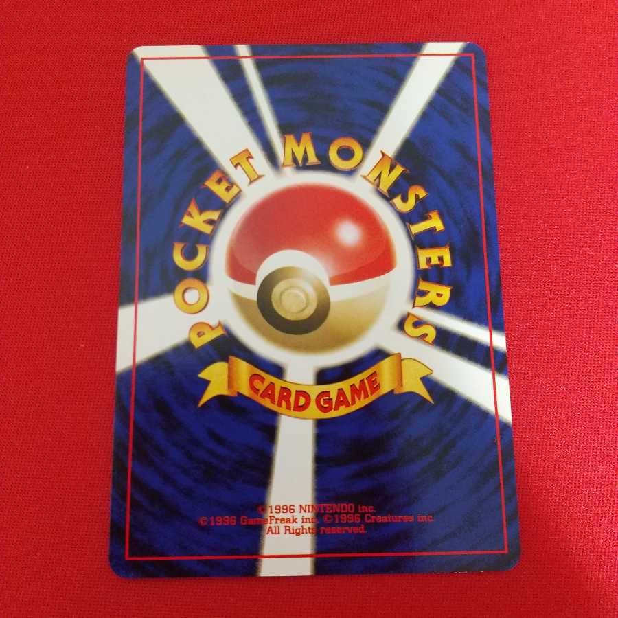 クルミ 2枚セット