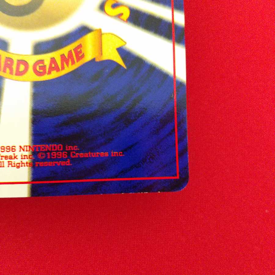 クルミ 2枚セット