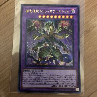 捕食植物トリフィオヴェルトゥム UR