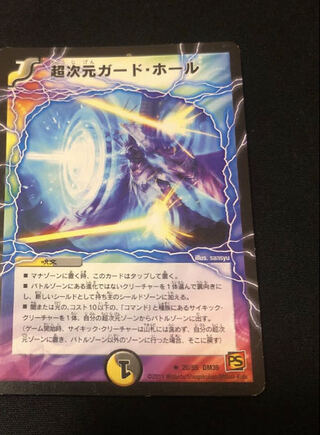 超次元ガード・ホール