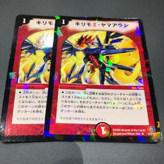 キリモミヤマアラシ 2枚