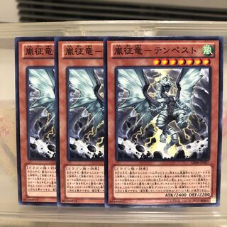 嵐征竜-テンペスト N ノーマル　3枚　マホ子