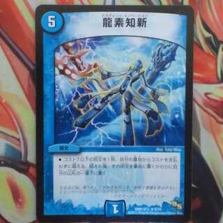 龍素知新