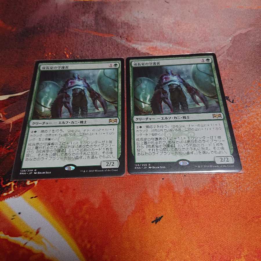 成長室の守護者2枚セット