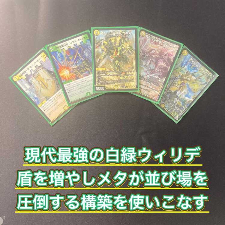 本格構築 【白緑ウィリデ】 デッキ＆二重スリーブ 《 我竜塔第一層 セイント・キャッスル 我竜塔第七層 ハッスル・キャッスル ウィリデ・ゴル・ゲルス 楯教の求道者 ザゼ・ゼーン 天V王 エバーラスト 》 1枚