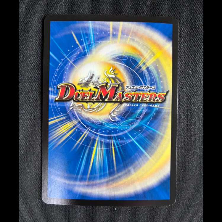 #五番龍 レイクポーチャー ParZero SR S2/S8 1枚
