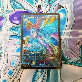 【極美品】海姫龍 ライベルモット・ビターズ