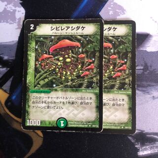 シビレアシダケ　写真立て23