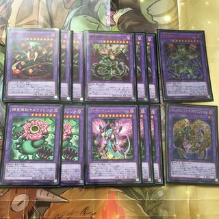 捕食植物デッキ