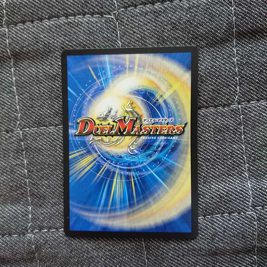 「絶対の楯騎士」