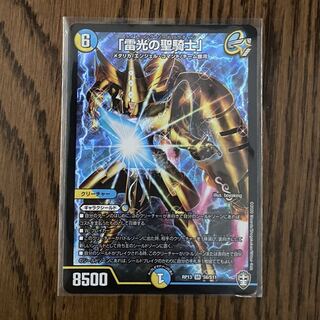 「雷光の聖騎士」