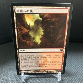 ヘーリ様専用 1枚