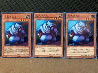 【ぽぽたん】遊戯王 9833 巨大ネズミ 3枚 ノーマル