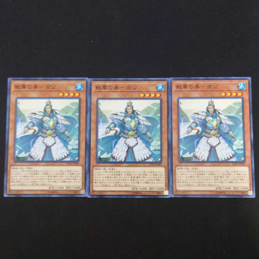 戦華の美-周公 N