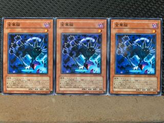 【ぽぽたん】遊戯王 4616 金華猫 3枚 ノーマル