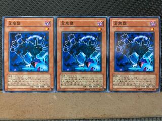 【ぽぽたん】遊戯王 5278 金華猫 3枚 ノーマル