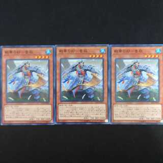 戦華の妙-魯敬 N