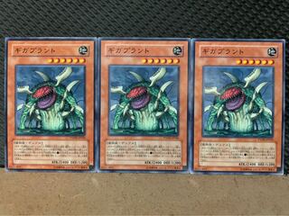【ぽぽたん】遊戯王 3641 ギガプラント 3枚 ノーマル