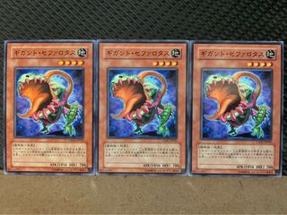 【ぽぽたん】遊戯王 782 ギガント・セファロタス 3枚 ノーマル
