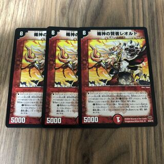 楯神の賢者レオルド