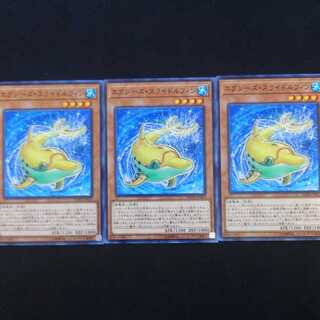 エクシーズ・スライドルフィン N