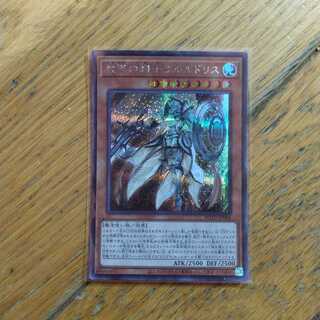 教導の騎士フルルドリス　シークレット