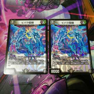 ビバラ龍樹　2枚