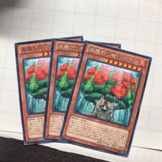 森羅の仙樹 レギア