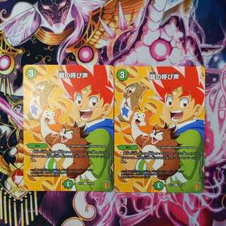 Call of the Dragon 2 pieces