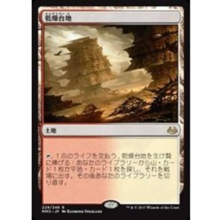 乾燥台地/Arid Mesa《日本語》【MM3】 1枚