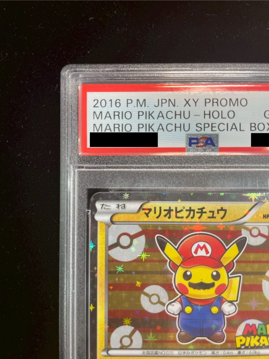 〔PSA10鑑定済〕マリオピカチュウ【P】{293/XY-P} 1枚