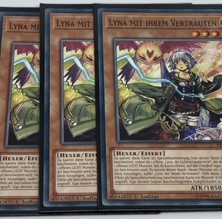 憑依装着-ライナ　ドイツ語版　EU版　3枚