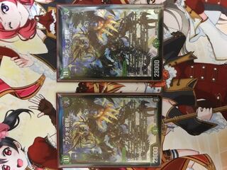 ブラキオ龍樹　2枚