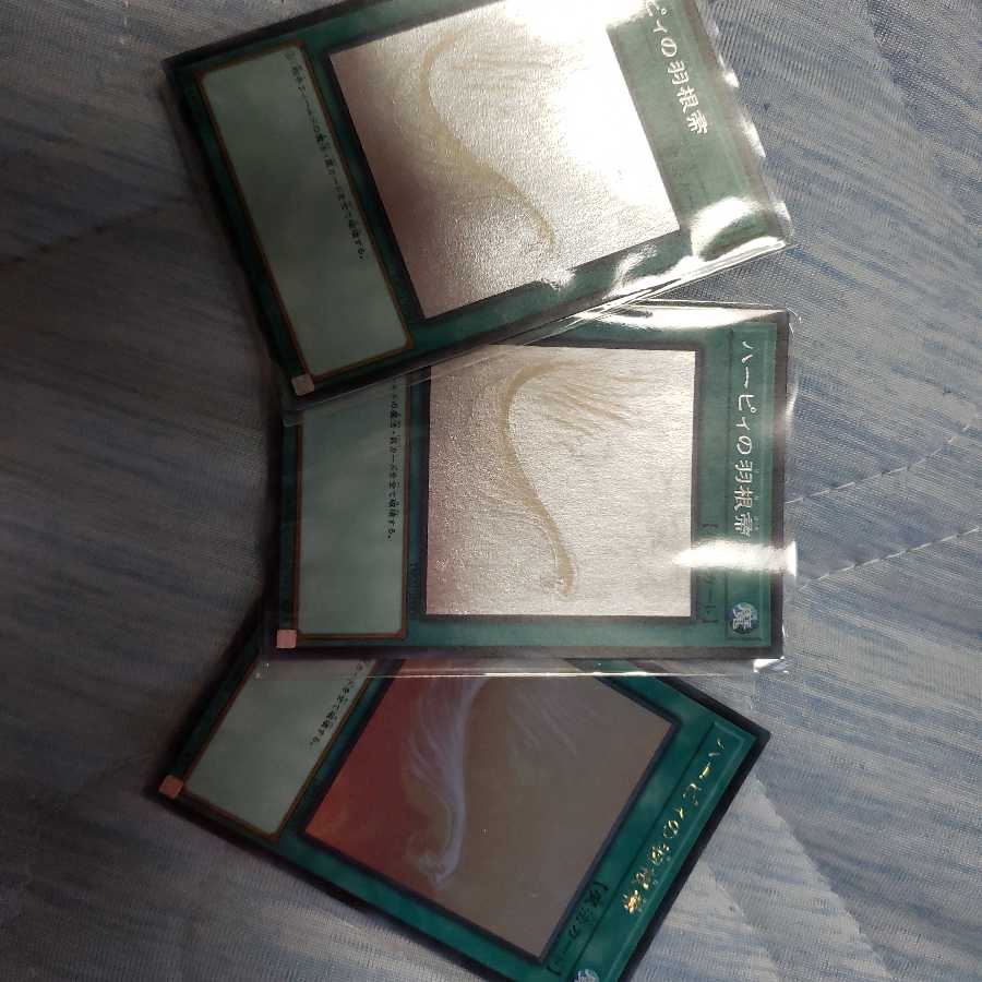 ハーピィの羽根帚 HR 三枚セット