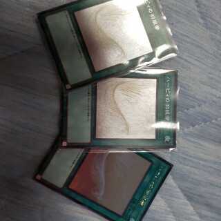 ハーピィの羽根帚 HR 三枚セット