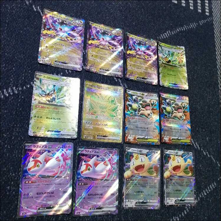 ポケモンカード　デッキ　タケルライコ　オーガポン　アンフェア[05121] 1枚