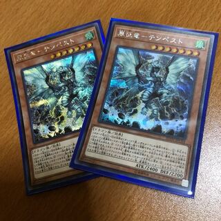 嵐征竜 テンペスト シク2枚