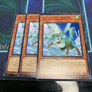 ホップ・イヤー飛行隊 R