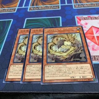 天威龍-アーダラ R