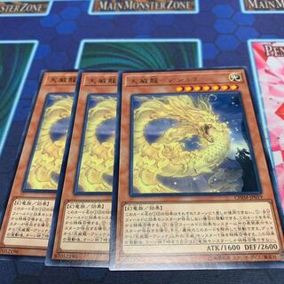 天威龍-アシュナ R