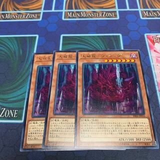 天威龍-ヴィシュダ R 専用