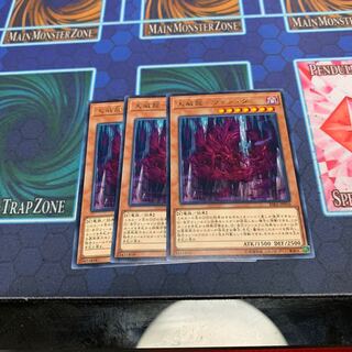 天威龍-ヴィシュダ R 専用