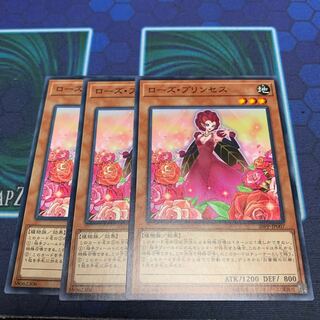 ローズ・プリンセス