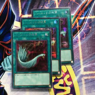 ハーピィの羽根帚 SE